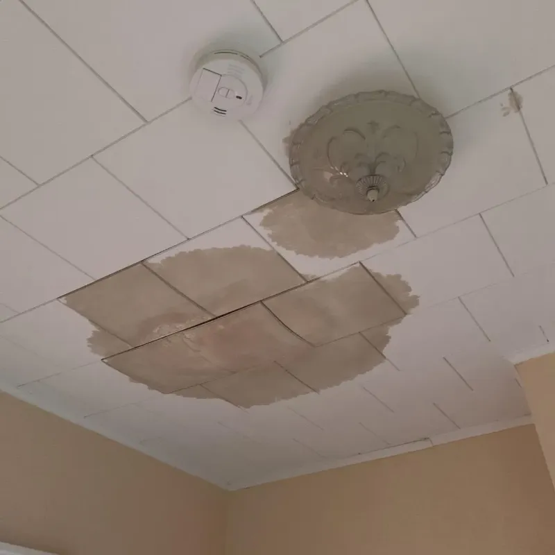 Ceiling Water Damage Repair in Woburn, MA