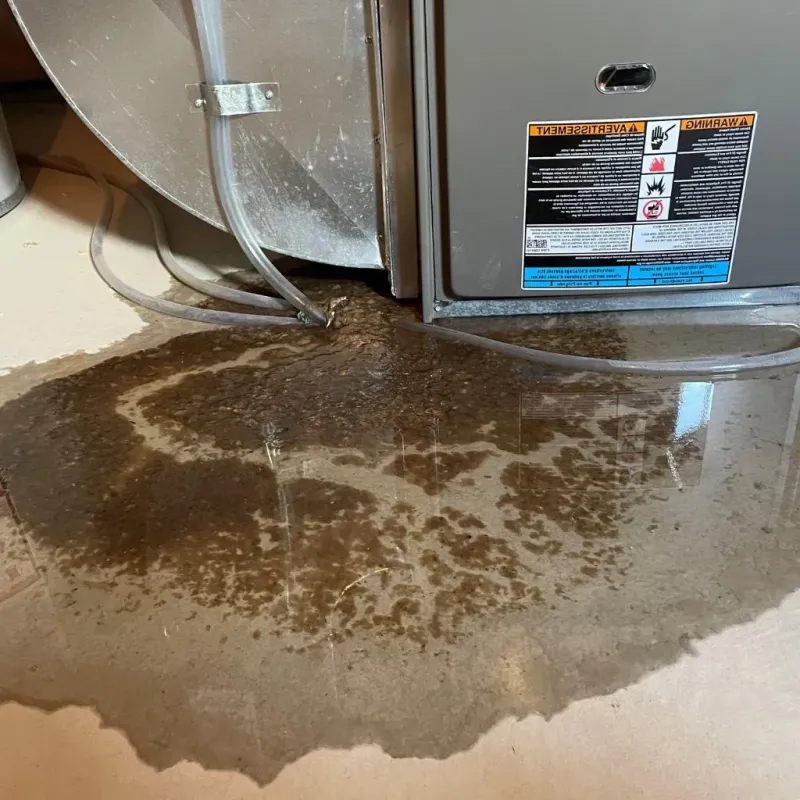 Pipe Burst and Leak Restoration in Woburn, MA